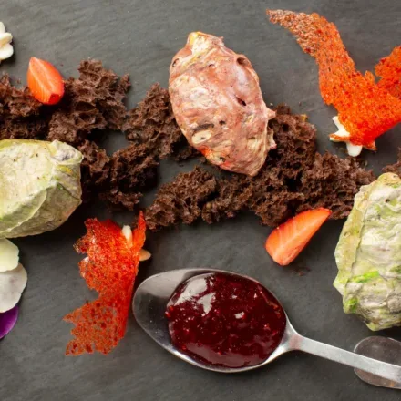 tartare de dinosaure image non contractuelle 440x440